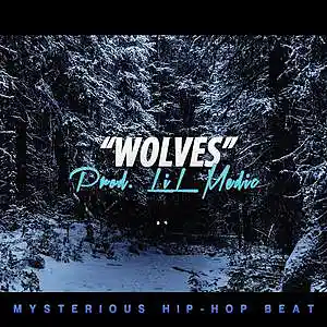 Picture for song ''Wolves' // Hard Hip Hop Beat Dark Rap Beat' by artist 'LiL Medic Beats'