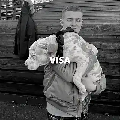 Picture for song 'Visa (Buy 1 Get 10 Free)' by artist 'Kontraa'