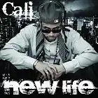 Picture for song 'Wishes Beat' by artist 'ProducerCali'