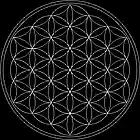 Picture for song 'My Merkaba' by artist 'Ralph Buckley'