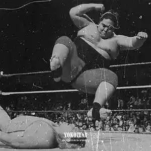 Picture for song 'Yokozuna' by artist 'RICH MELLO'