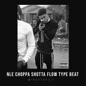 Picture for song 'nle choppa shotta flow type beat "GRAVEDIGGER"' by artist 'roposbeatz'