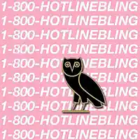Picture for song '(New) 1 800 Hotline' by artist 'Cardio Beatz'