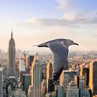 Picture for song 'Moments' by artist 'Shadow Talent'