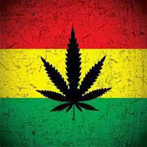 Picture for song 'Teegomuzik - Rasta' by artist 'Teegomuzik'
