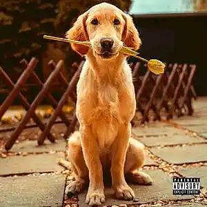 Picture for song 'Chasing Tail' by artist 'Tolove'