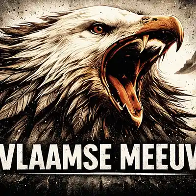 Picture for song 'Vlaamse Meeuw' by artist 'Vlaamse Meeuw'