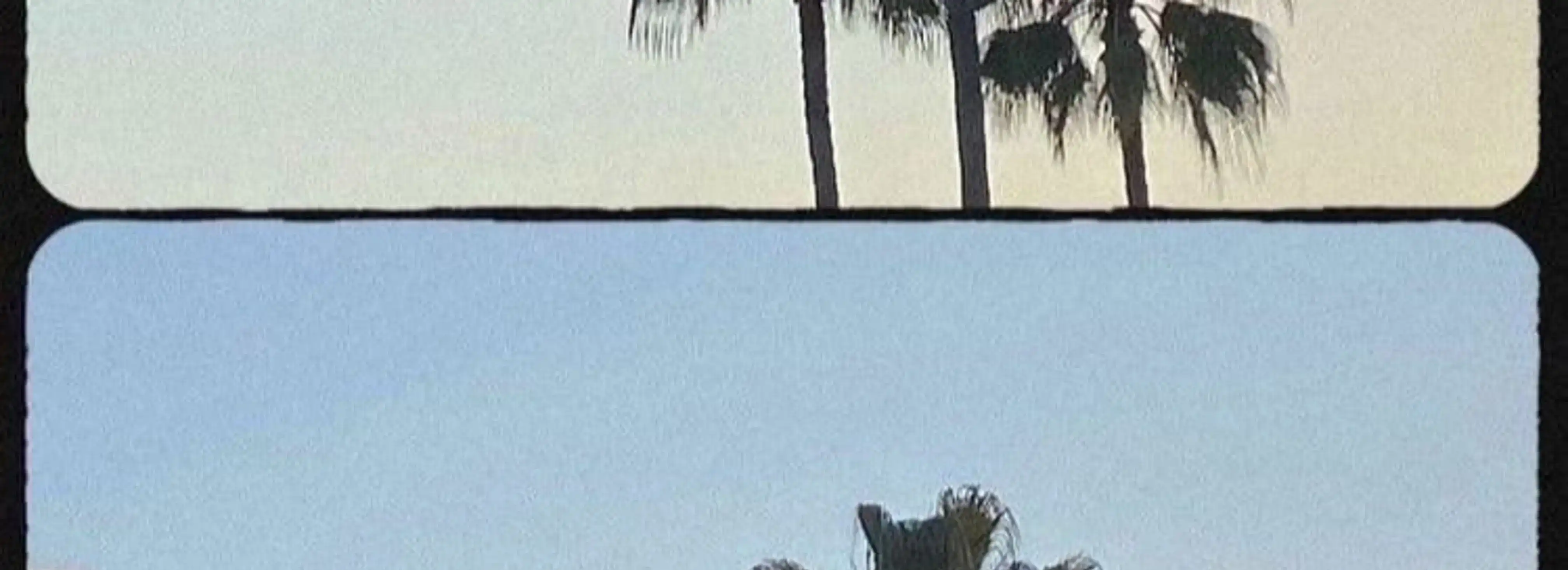 cover pic