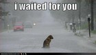 Picture for song 'Waited For You(Love)' by artist '4rce'