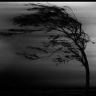 Picture for song '*TRIPHOP*Night Sandstorm (Free D/L)' by artist '614 MUSIC'