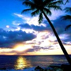 Picture for song 'Bermuda Chillin' by artist '6Twelve Productions'