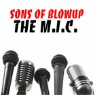 Picture for song 'M.I.C' by artist 'BLOWUP SCHOOL'