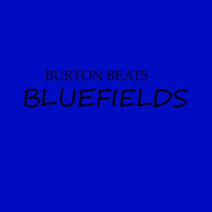 Picture for song 'Bluefields- Bryson Tiller x Kehlani Typebeat' by artist 'Burton Beats'