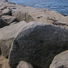 Picture for song 'Throwing Stones' by artist 'Cellar Dwellers (US)'