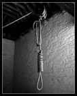 Picture for song 'Noose' by artist 'Centrist'