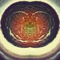 Picture for song 'Erase' by artist 'Dead Era'