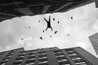 Picture for song 'Til I Fall !!!!!!!Banga!!!!!' by artist 'D-Eazie'