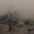 Picture for song ''Dust From The Past' (FREE DOWNLOAD)' by artist 'DestinySounds'