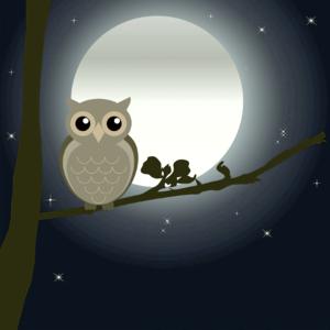 Picture for song 'Night Owl (Smooth Melodic Type Beat) - Devezin.com' by artist 'Devezin'