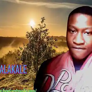 Picture for song 'abana baba Lesa' by artist 'dj leny beat'