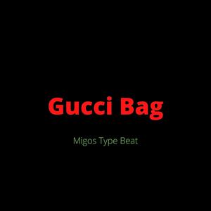 Picture for song '"Gucci Bag" - Migos Type Beat' by artist 'DJ Mauri B'