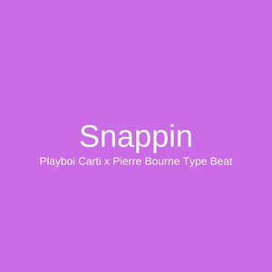 Picture for song 'Snappin - Playboi Carti x Pierre Bourne Type Beat' by artist 'DJ Mauri B'