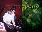 Picture for song 'Rompi, Rompi' by artist 'Enigmapond'