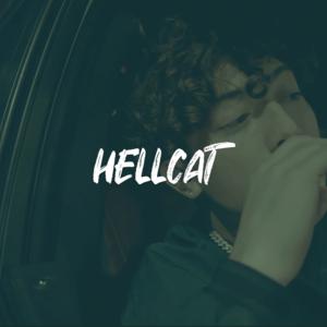 Picture for song 'ROCCO x Toosii x Luh Kel Type Beat - "HELLCAT"' by artist 'ErieBeats'