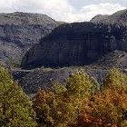 Picture for song 'devil's backbone' by artist 'Ernest Johnson'