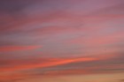 Picture for song 'Dying Horizon' by artist 'Fading Sunlight'