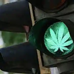 Picture for song 'Smash when we pass' by artist 'Gutta Deezy'