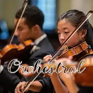 Picture for song 'Orchestral Type Beat' by artist 'Hallow Beats'