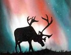 Picture for song 'Northern Lights' by artist 'HORIZONS PROJECT'