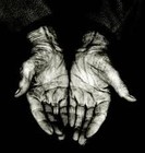 Picture for song 'Cut Em Down Ft. Eder' by artist 'IM UNDEFEATED'