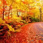 Picture for song '@JETLAGBEATZ - PRAY FOR F'ALL' by artist 'JETLAGBEATZ'