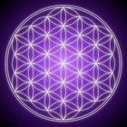 Picture for song 'Der Weg' by artist 'KingSenzi'