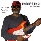 Picture for song 'Reached Death's Door' by artist 'Krishna Swamy'