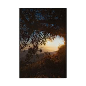 Picture for song 'howl (NF x joyner lucas type beat)' by artist 'krs.kv'