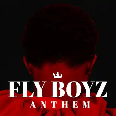Picture for song 'FLY BOY' by artist 'Linnaz Hillz'