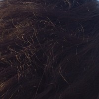 Picture for song 'Black Hair (by Nick Cave -- S.P. de Atacama, 2015)' by artist 'Manda Clair'