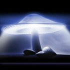 Picture for song 'Max Peptalk - Trust Yourself - 2ci' by artist 'Max PepTalk'