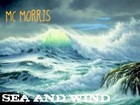 Picture for song 'MC Morris - sea and wind' by artist 'MC Morrris'