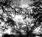 Picture for song 'Dark Doubts' by artist 'Musan Dera'