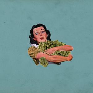 Picture for song 'Supply' by artist 'Nick Vanelli'