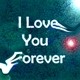 Picture for song 'PS-400 Series- 90's- I Love You Forever' by artist 'Numi Who'