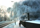 Picture for song 'The winters mine' by artist 'Psyke Sconi aka Iceberg Sconi'