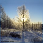 Picture for song 'Through a chink of Heaven_s wall' by artist 'Rinaldo'