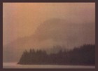 Picture for song 'island wood.mp3' by artist 'sawas'