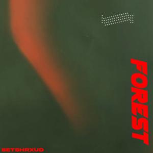 Song picture