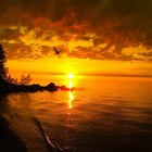Picture for song 'So Realistic - Fly Away II | FREE DL' by artist 'soulclapbeats'